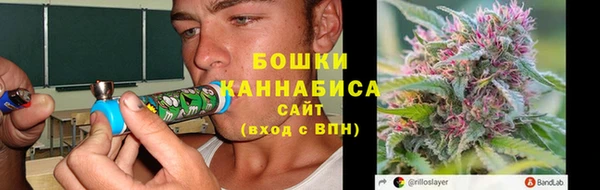 дурь Арсеньев