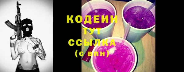 дурь Арсеньев