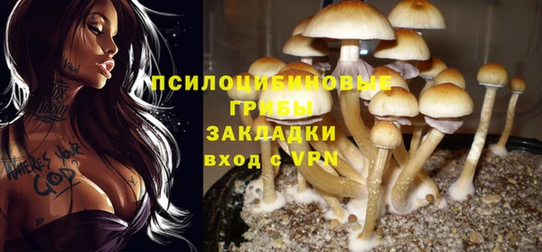 дурь Арсеньев