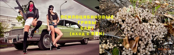 спиды Армянск