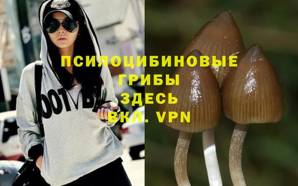 MDMA Premium VHQ Аркадак