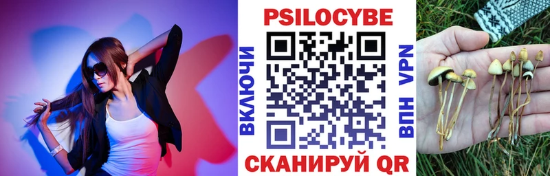 даркнет сайт  Малмыж  Псилоцибиновые грибы Psilocybine cubensis 